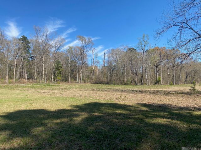 B-1-A-3 Spring House Dr, Greenwell Springs, LA 70739