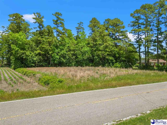 3895 Hwy 430, Nichols, SC 29581