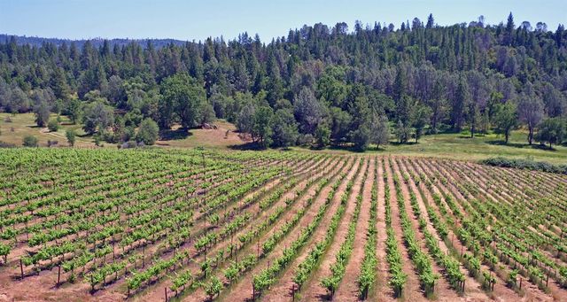 2145 Hidden Ranch Rd, Somerset, CA 95684