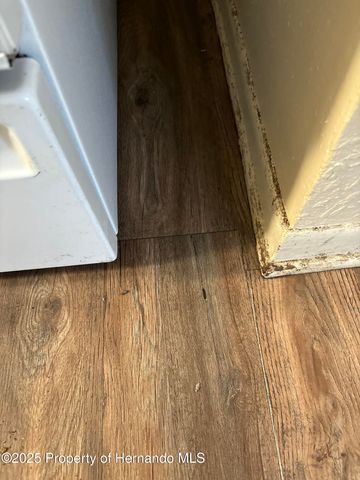 7184 Catalina Street, Spring Hill, FL 34606