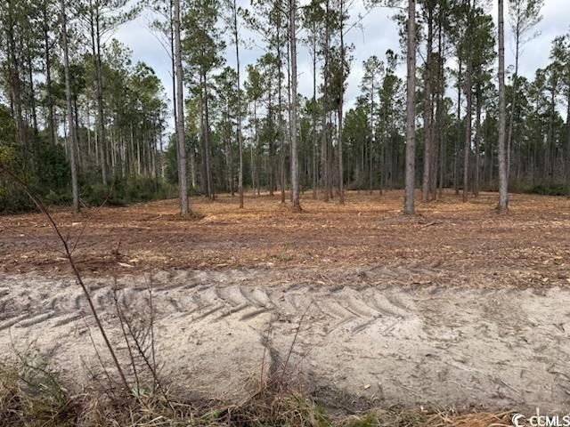 7.39 Acs Kates Bay Hwy., Conway, SC 29527