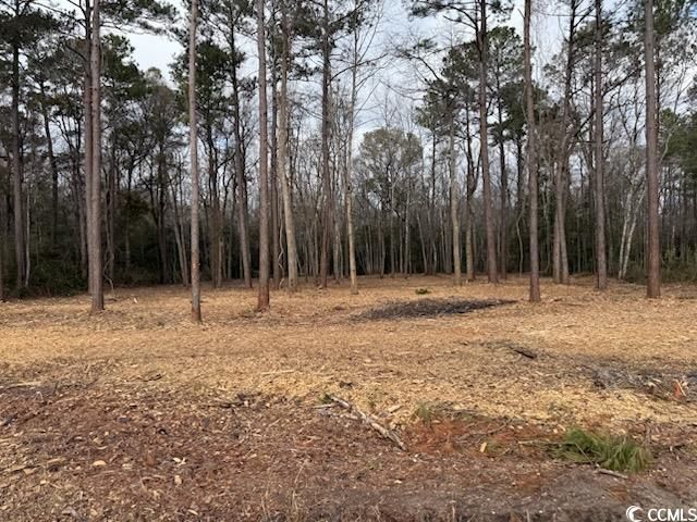 7.39 Acs Kates Bay Hwy., Conway, SC 29527