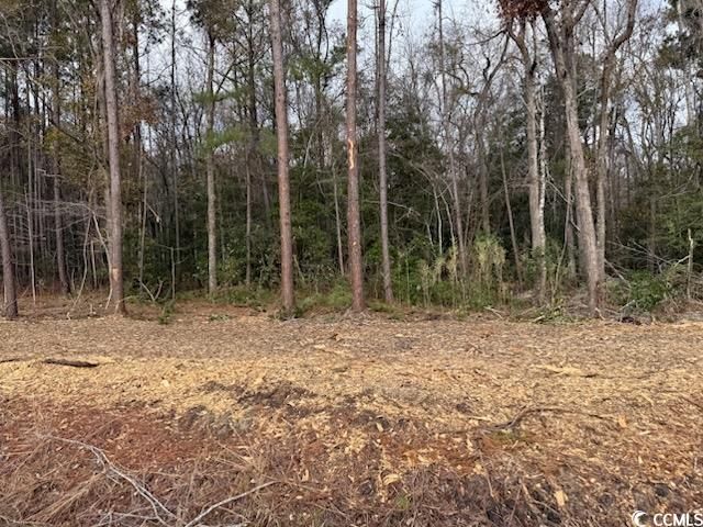 7.39 Acs Kates Bay Hwy., Conway, SC 29527