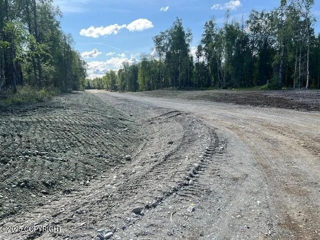 26112 S Gadol Drive, Talkeetna, AK 99676