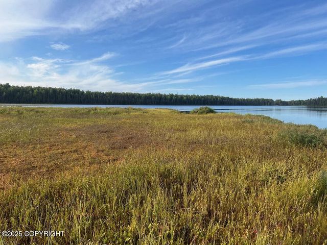 26112 S Gadol Drive, Talkeetna, AK 99676