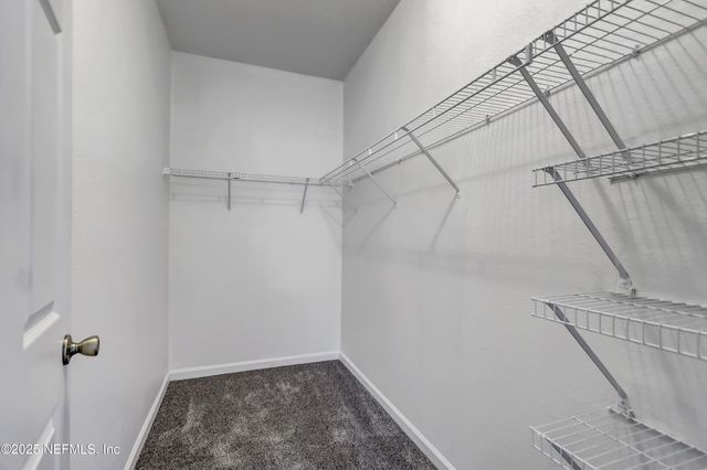 575 OAKLEAF PLANTATION Parkway 1303, Orange Park, FL 32065