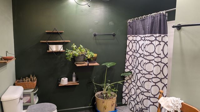 225 Lake Forrest Rd, Lynchburg, TN 37352