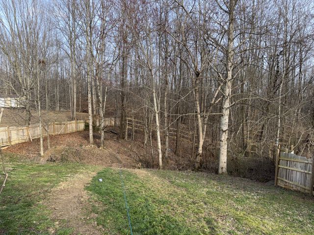 225 Lake Forrest Rd, Lynchburg, TN 37352