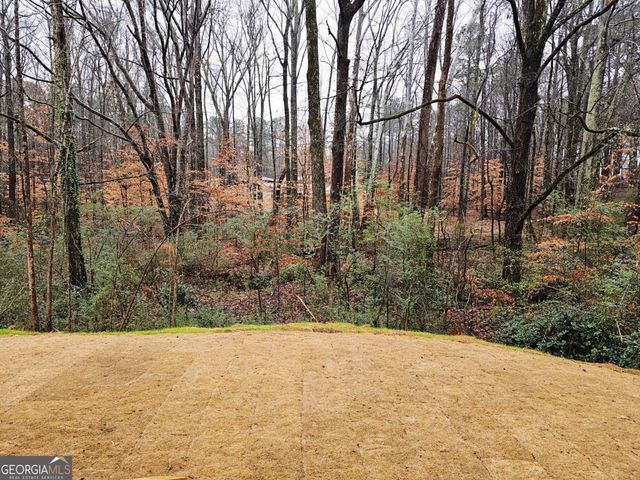 152 Scarlett Place Drive 22, Bowdon, GA 30108