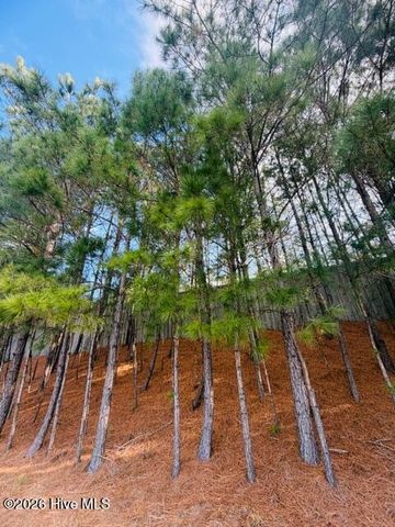 2181 Palm Pointe NE, Leland, NC 28451