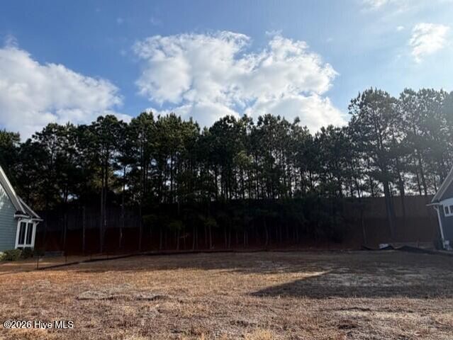 2181 Palm Pointe NE, Leland, NC 28451