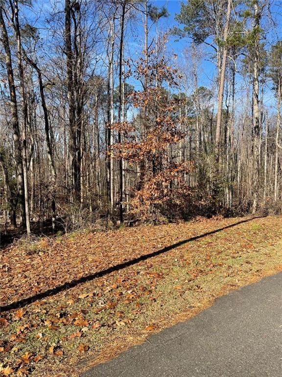 LOT 3 Bow Trail, Woodstock, GA 30188