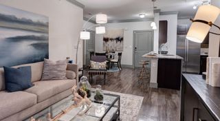 2539 Spring Cypress Road 8308, Spring, TX 77388