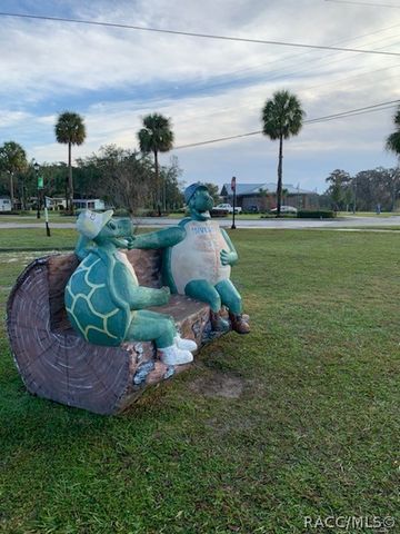 813 Pritchard Island Road, Inverness, FL 34450