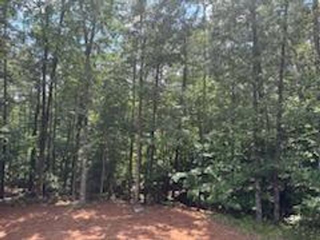 202 HANNAHS Drive, Dahlonega, GA 30533
