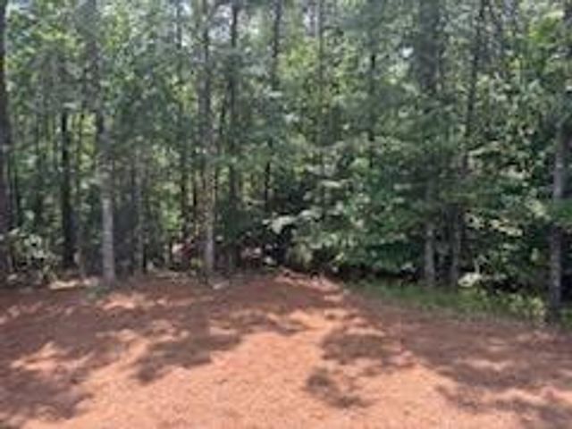 202 HANNAHS Drive, Dahlonega, GA 30533