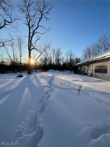 4165 Wheeler Creek Road, Geneva, OH 44041