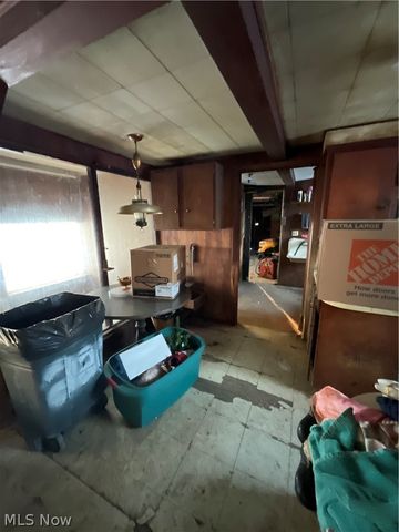 4165 Wheeler Creek Road, Geneva, OH 44041