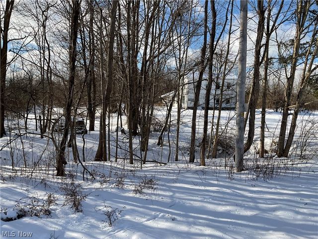 4165 Wheeler Creek Road, Geneva, OH 44041