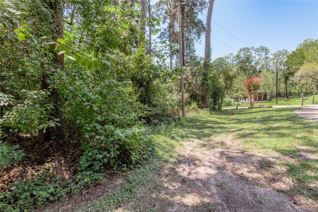 Lot 6 Evergreen Circle, Point Blank, TX 77364