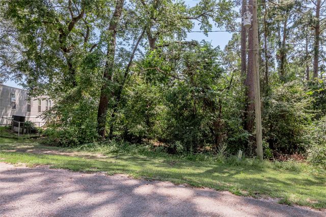 Lot 6 Evergreen Circle, Point Blank, TX 77364