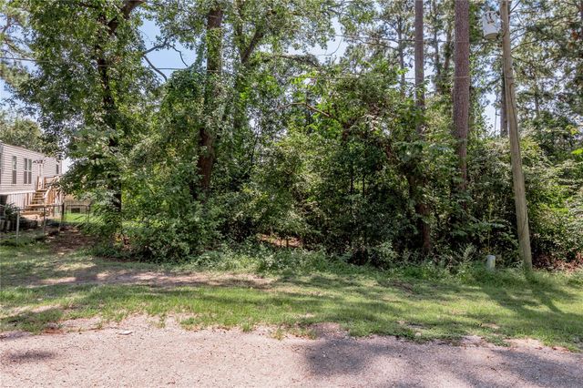 Lot 6 Evergreen Circle, Point Blank, TX 77364