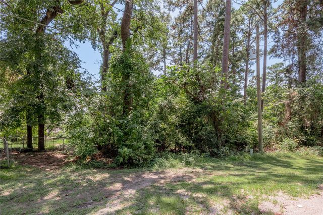 Lot 6 Evergreen Circle, Point Blank, TX 77364