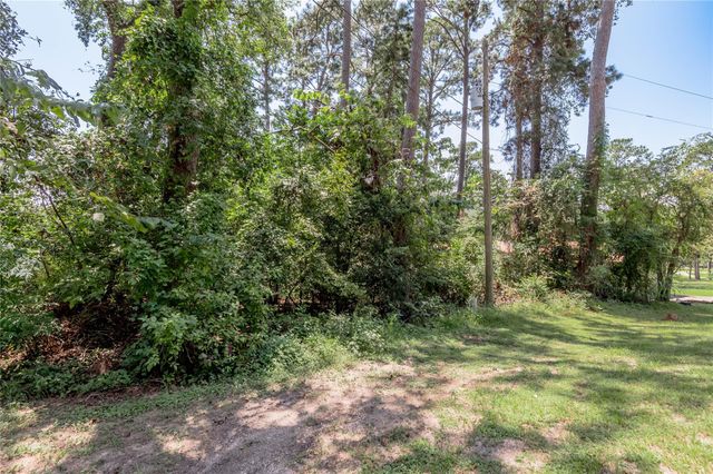 Lot 6 Evergreen Circle, Point Blank, TX 77364