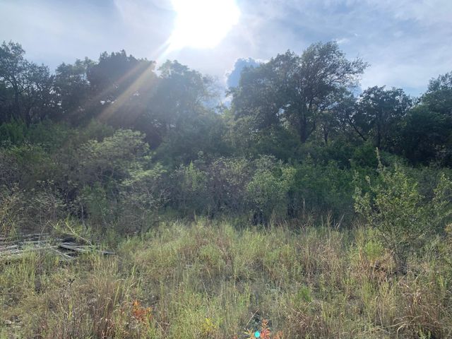 17140 Northlake Hills DR, Jonestown, TX 78645