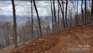 Lot 6 Andrew Banks Road, Burnsville, NC 28714