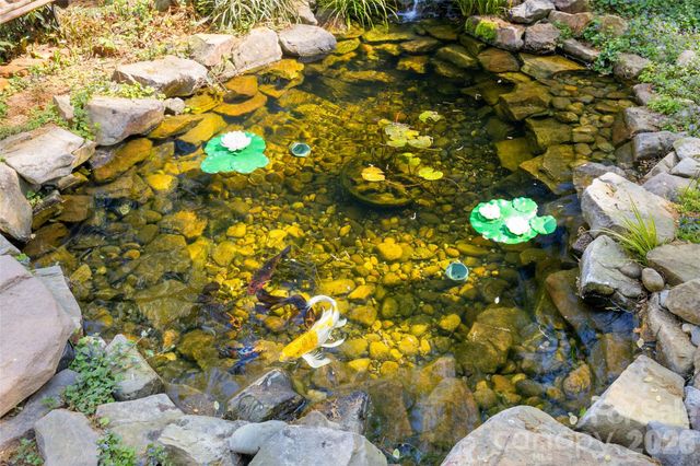 3928 Langhorne Avenue, Charlotte, NC 28205