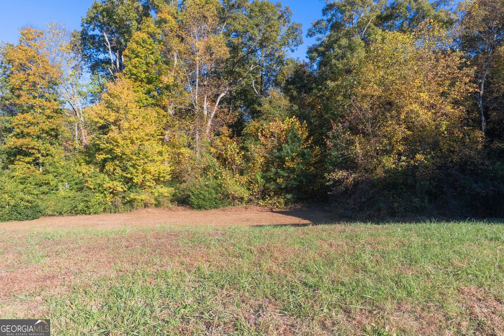 148 Village Drive, Clarkesville, GA 30523 — photo 4