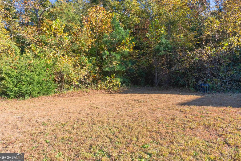 148 Village Drive, Clarkesville, GA 30523 — photo 5