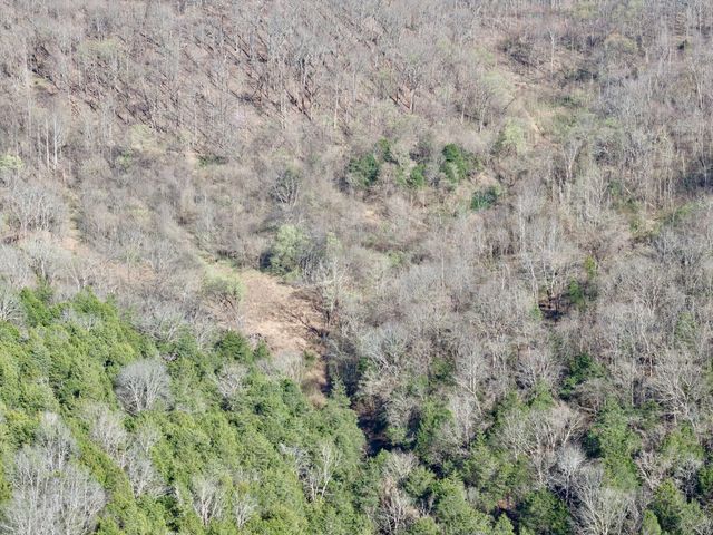 3780A Hurricane Creek Rd, Woodbury, TN 37190