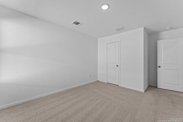 1859 Wood Warbler, New Braunfels, TX 78130