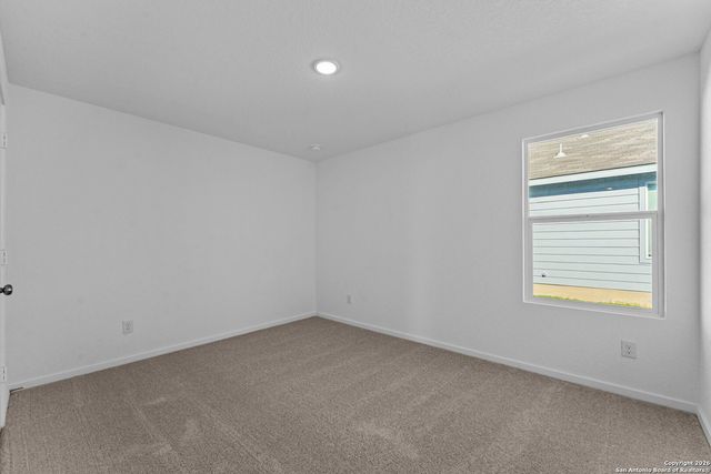 1859 Wood Warbler, New Braunfels, TX 78130