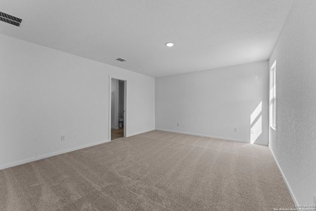 1859 Wood Warbler, New Braunfels, TX 78130