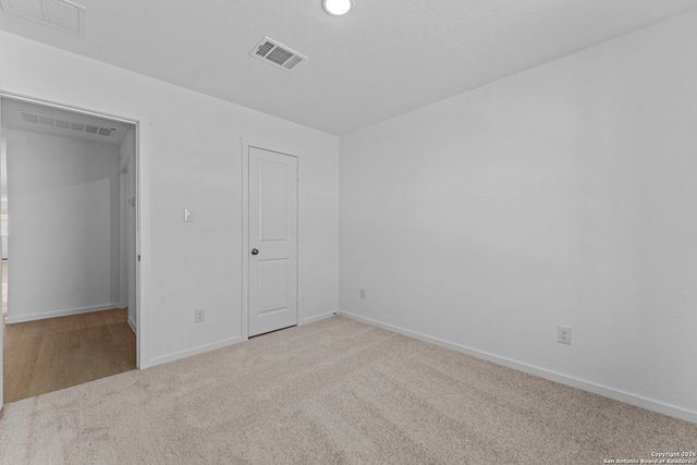 1859 Wood Warbler, New Braunfels, TX 78130