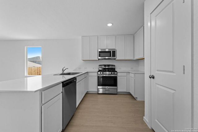 1859 Wood Warbler, New Braunfels, TX 78130