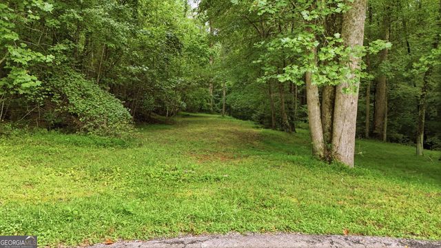 315 Duncan Bridge Lane, Cornelia, GA 30531