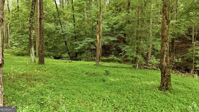 315 Duncan Bridge Lane, Cornelia, GA 30531