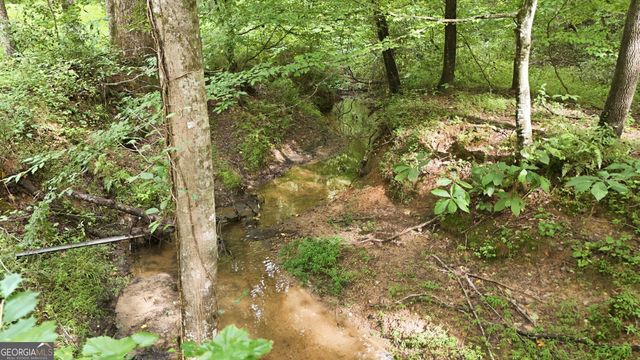 315 Duncan Bridge Lane, Cornelia, GA 30531