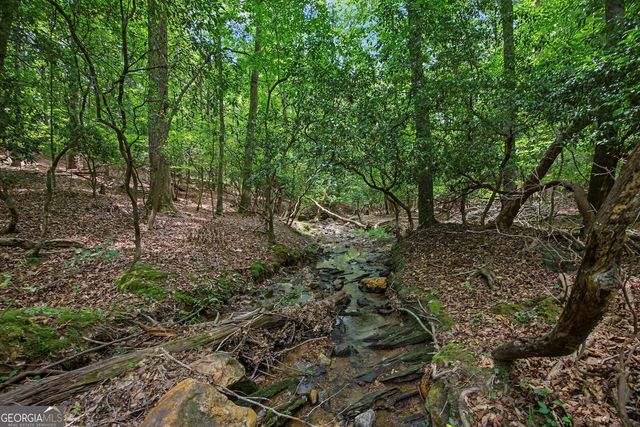 295 W Stowers Drive, Canton, GA 30114