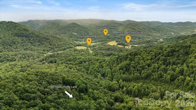 60 Hawks Pointe Lane, Weaverville, NC 28787