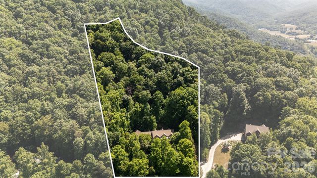60 Hawks Pointe Lane, Weaverville, NC 28787