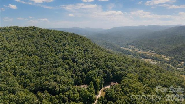 60 Hawks Pointe Lane, Weaverville, NC 28787
