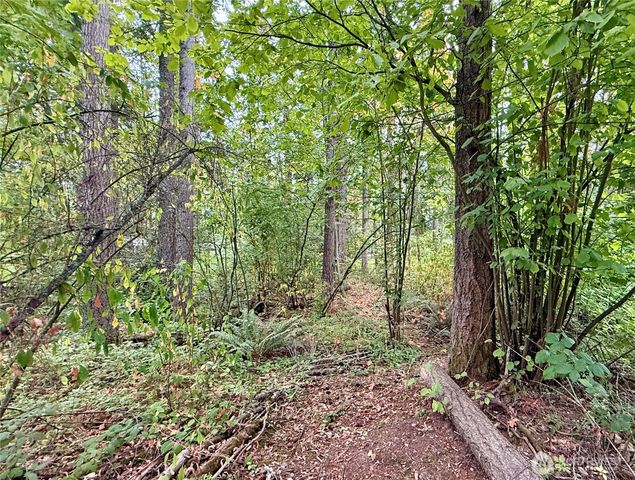 31719 41st Avenue E, Eatonville, WA 98328