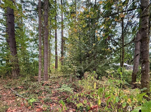 31719 41st Avenue E, Eatonville, WA 98328
