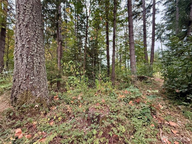 31719 41st Avenue E, Eatonville, WA 98328