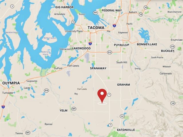 31719 41st Avenue E, Eatonville, WA 98328